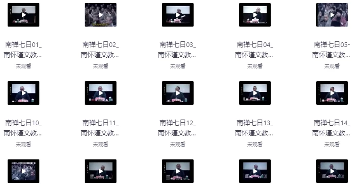 南禅七日（视频讲座+音频+文档 21集）
