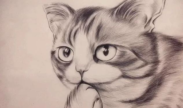 素描零基础直达四级课程