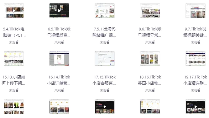 TikTok跨境短视频零基础到精通网赚变现课