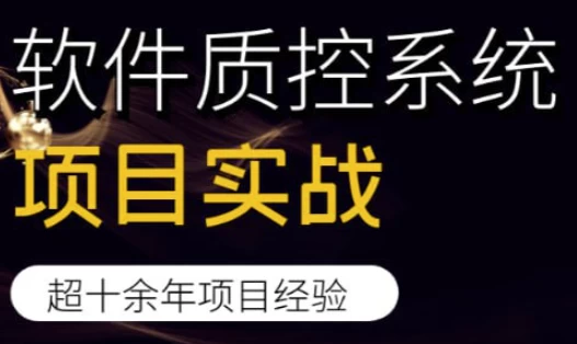 软件质控系统项目实战