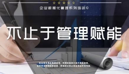 企业管理数据分析全体系落地培训