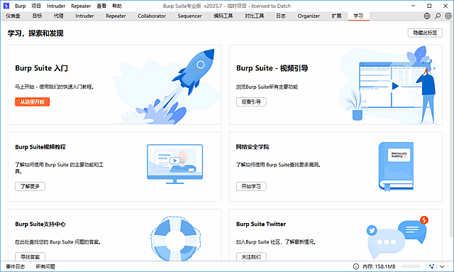 Burp Suite(Web应用安全测试工具) Professional 2025.7 汉化绿色版
