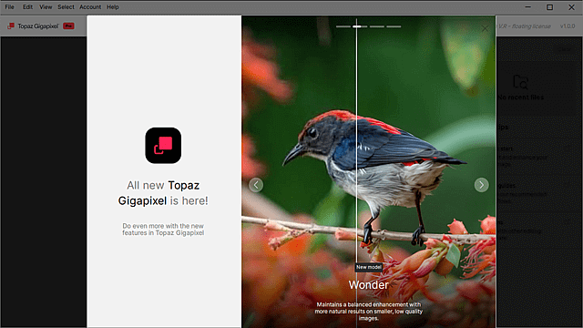 Topaz Gigapixel(图像超分辨率软件) Pro v1.0.0 绿色版