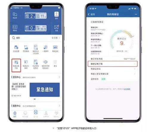 12123电子驾驶证app v3.5.5安卓版