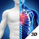 3D人体解剖图谱app v2.1.2安卓版