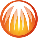 bitcomet安卓版 v2.9.4官方版
