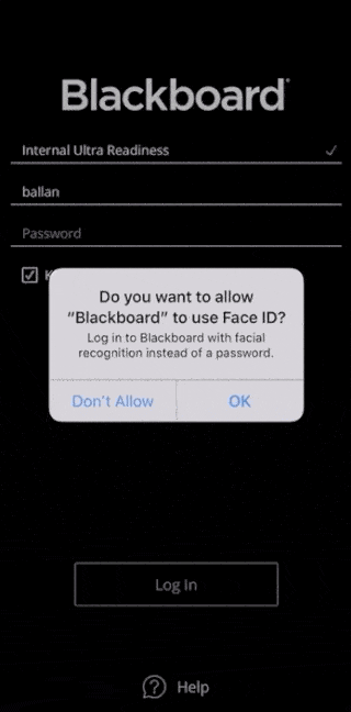 blackboard教学平台 v10.9.0安卓版