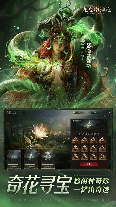 代号Dragon手游官方正版 v0.330.177069安卓版