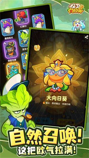 保卫向日葵官方版无广告下载 v1.42 安卓版