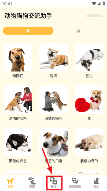 动物猫狗交流助手app 动物猫狗交流助手app