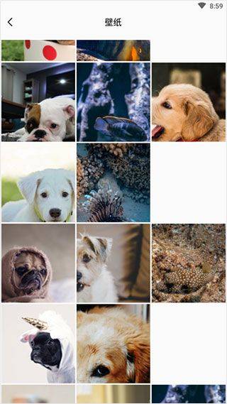 实时相机app v1.3安卓版
