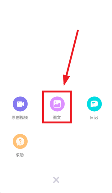 宠物王国app 安卓下载