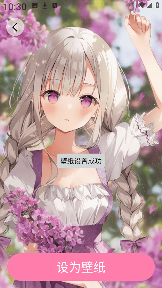 小粉世界壁纸安卓版 小粉世界壁纸安卓版