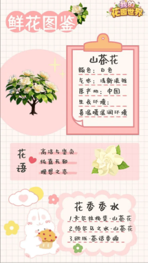 我的花园世界安卓版下载 v1.0.3 最新版