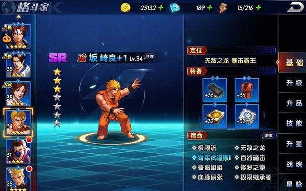 拳魂觉醒GM版 v1.0安卓版