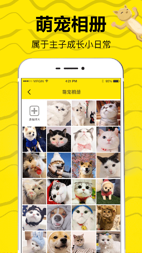 猫语翻译app v5.13.2021140856安卓版