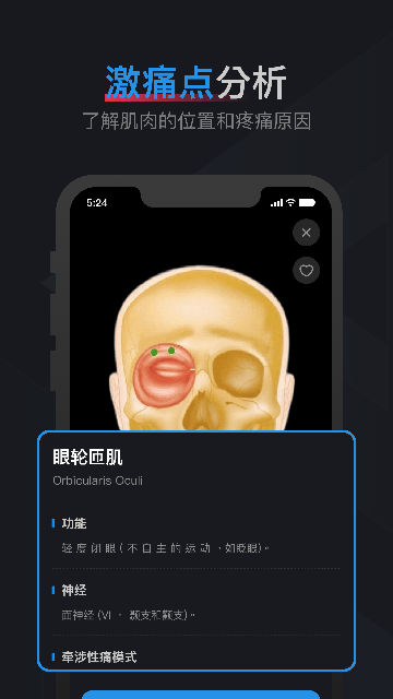 肌肉激痛点图谱软件下载v1.2 安卓版 肌肉激痛点图谱软件下载v1.2 安卓版