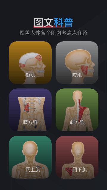 肌肉激痛点图谱软件下载v1.2 安卓版 肌肉激痛点图谱软件下载v1.2 安卓版
