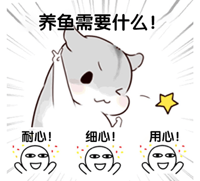 萌鱼泡泡游戏最新版 v3.4.1.6安卓版