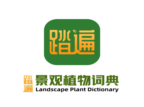 踏遍景观植物词典APP 踏遍景观植物词典APP