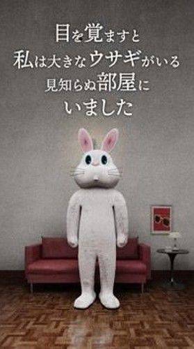 逃脱游戏兔子房间正版最新(RABBIT ROOM) v1.0.5 安卓版