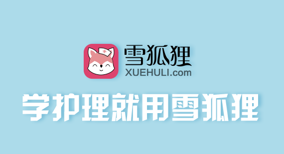 雪狐狸app