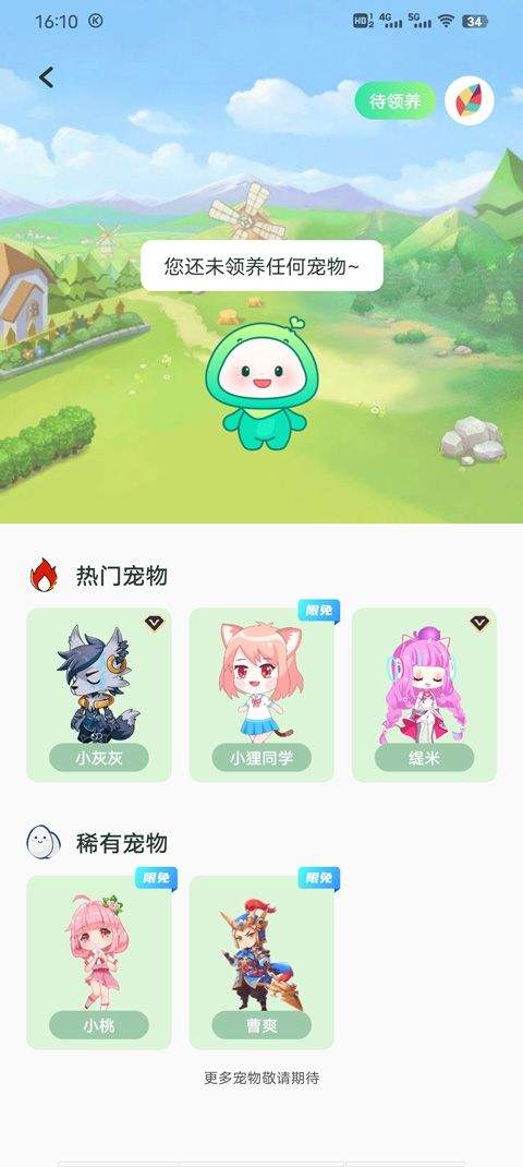 飞火动态壁纸手机版 v2.2.12安卓版