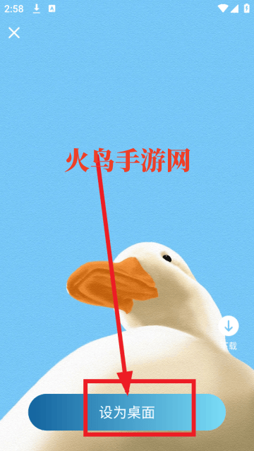 飞羽壁纸高清app 飞羽壁纸高清app