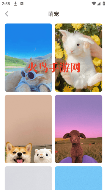 飞羽壁纸高清app 飞羽壁纸高清app