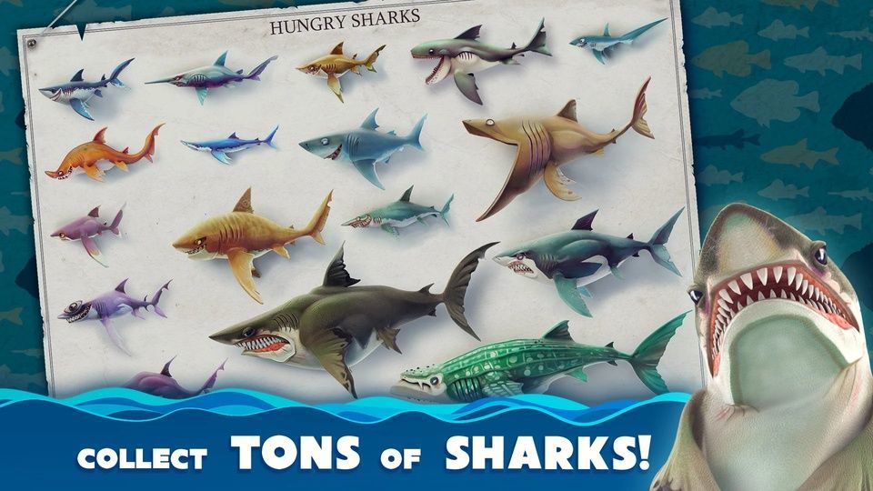 饥饿鲨世界国际服正版(Hungry Shark World) v8.0.6安卓版