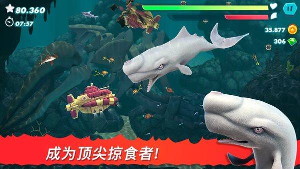 饥饿鲨进化国际服最新版(Hungry Shark) v14.3.0安卓版
