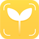麦苗守护孩子端app v3.4.5安卓版