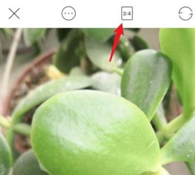 Faceu激萌APP下载最新版 Faceu激萌APP下载最新版