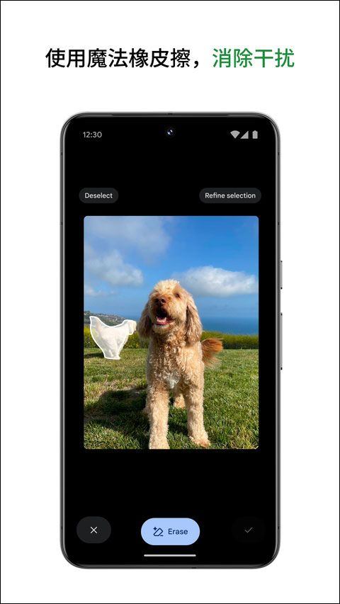 google相册app v7.84.0.947289513手机版