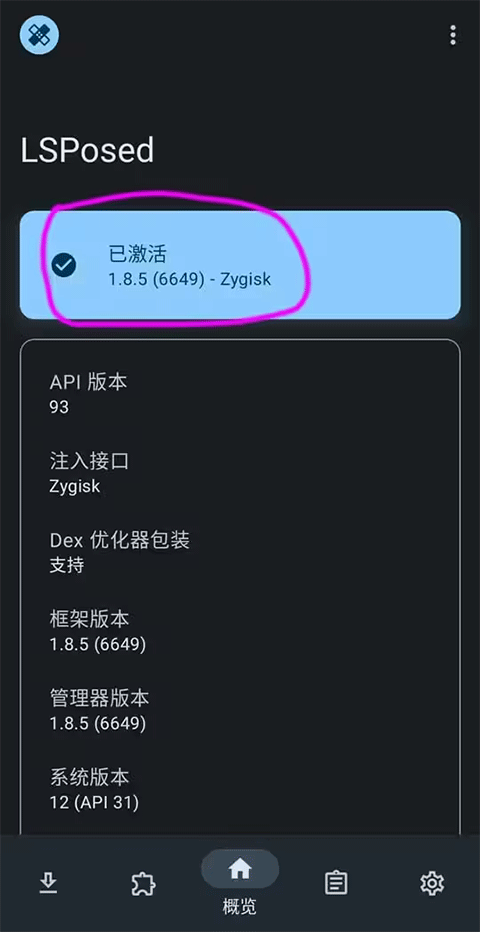 lsp框架 v1.10.2安卓版