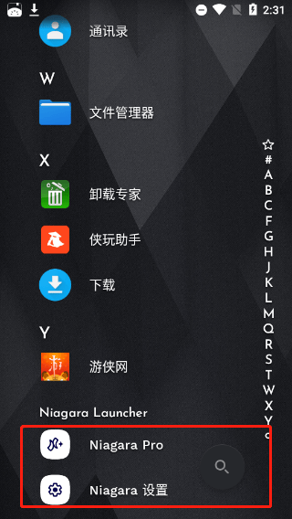 niagara launcher最新版 v1.16.15中文版