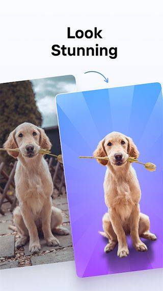 photoroom安卓版 v2026.04.01