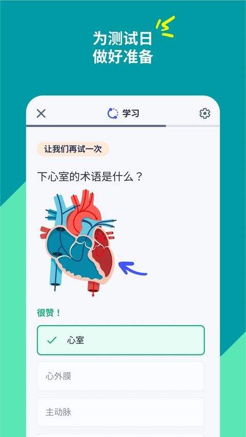 Quizlet安卓版最新版 v10.44.1官方版