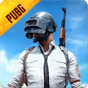 beta pubg mobile国际服体验服 v4.6.3安卓版