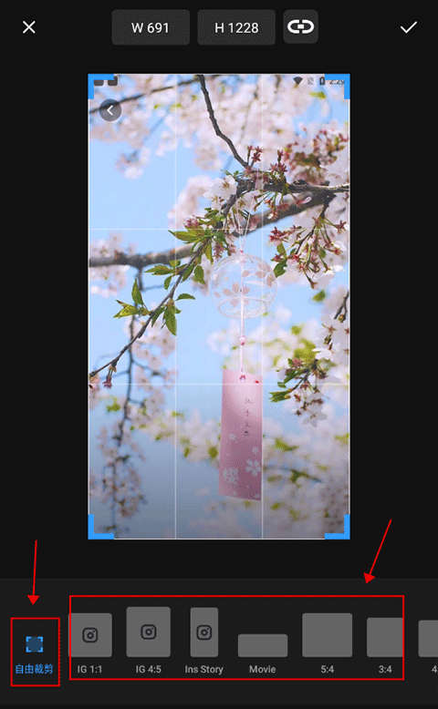 专业照片编辑器app(Polish) v1.775.263安卓版