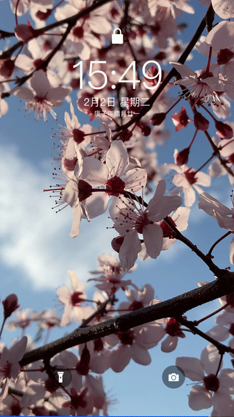 主题库app v1.15安卓版