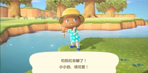 动物之森口袋露营最新版 v7.1.3安卓版