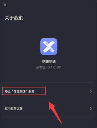 停止花瓣测速服务教程截图2