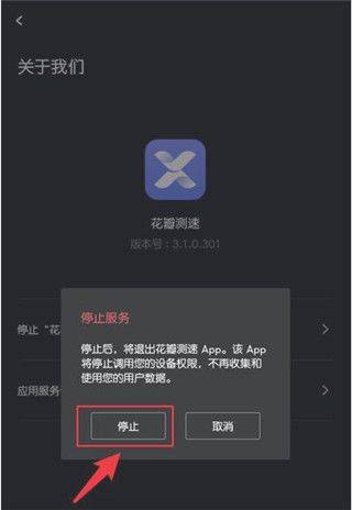 停止花瓣测速服务教程截图3