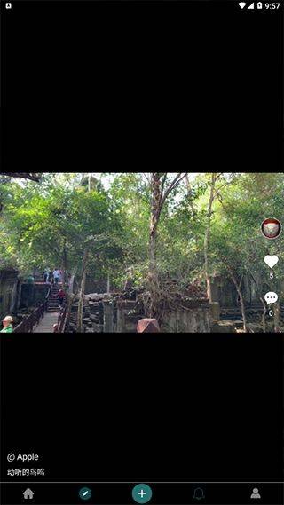 去看看旅行app v2.4.22安卓版