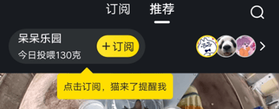 哈啰街猫app v4.1.5安卓版