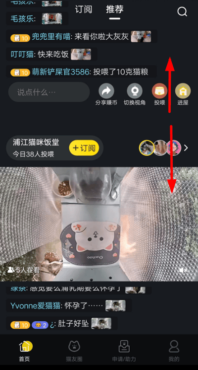 哈啰街猫app v4.1.5安卓版