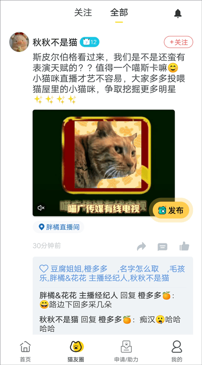 哈啰街猫app v4.1.5安卓版