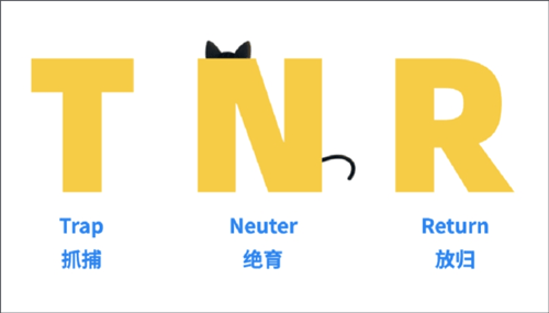 哈啰街猫app v4.1.5安卓版