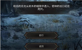 地下城堡3魂之诗最新版 v1.3.111安卓版
